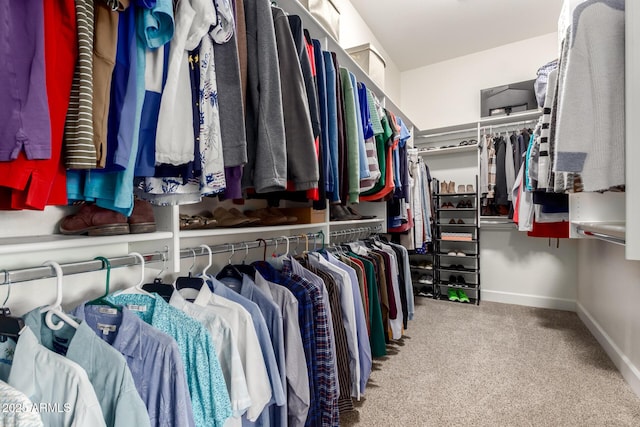 16201 S 29th Ave, Phoenix, AZ 85045 - spacious closet with carpet