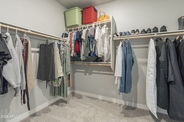 spacious closet featuring carpet floors