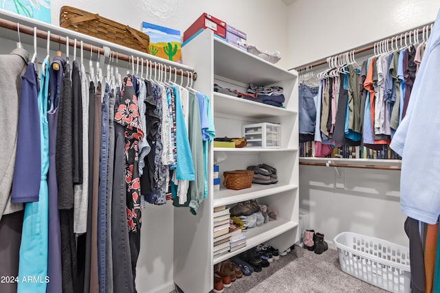 spacious closet featuring carpet floors