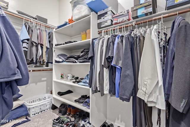 walk in closet featuring carpet floors