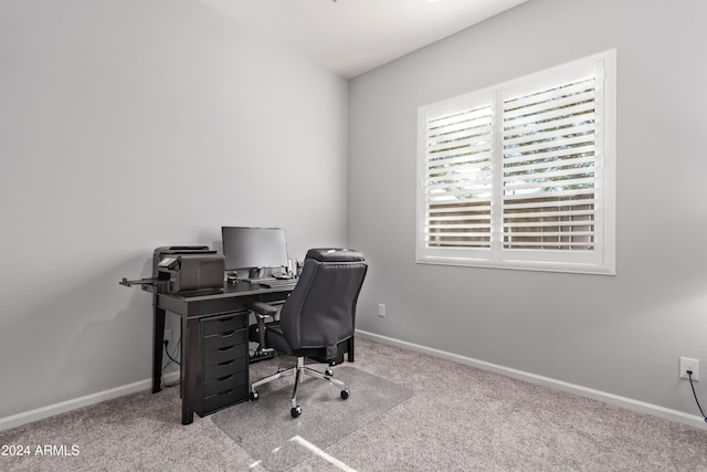 office featuring light colored carpet