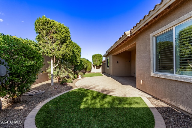 view of yard featuring a patio area