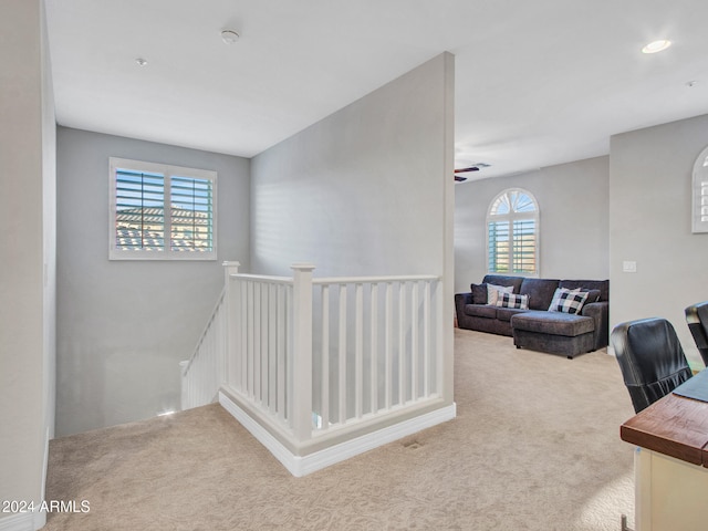 interior space with plenty of natural light and carpet floors