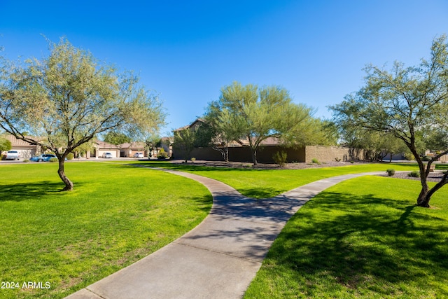 view of community featuring a yard