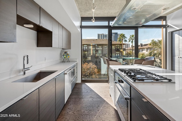 kitchen with appliances with stainless steel finishes, sink, a wealth of natural light, and dark hardwood / wood-style floors