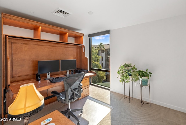 carpeted office featuring expansive windows