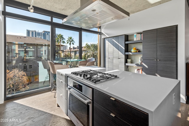 kitchen with hardwood / wood-style flooring, a wall of windows, appliances with stainless steel finishes, a center island, and ventilation hood