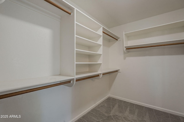 1610 W Maplewood St, Chandler, AZ 85286 - walk in closet featuring dark carpet