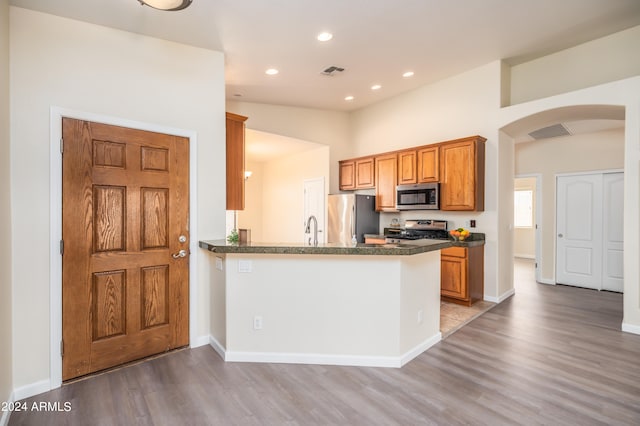 kitchen featuring light hardwood / wood-style floors, stainless steel appliances, sink, and kitchen peninsula