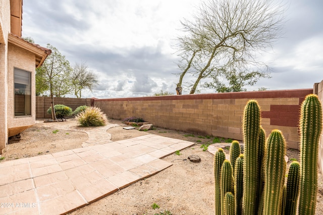 view of yard featuring a patio