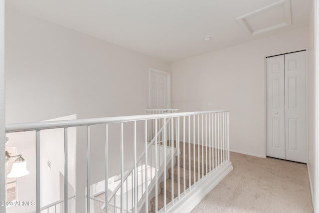 corridor featuring baseboards, attic access, and carpet