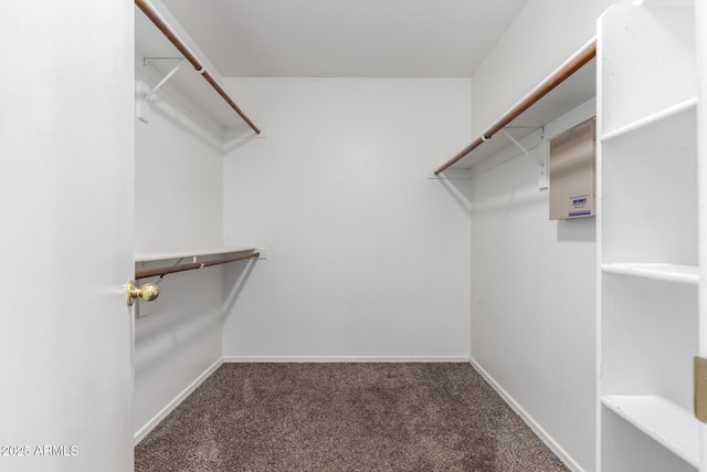 8341 W Cypress St, Phoenix, AZ 85037 - walk in closet with carpet