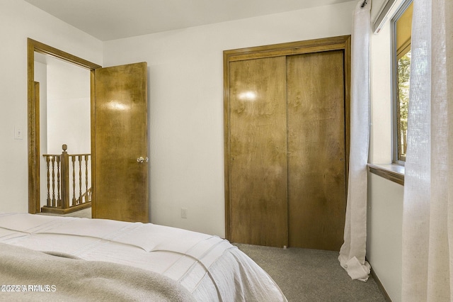 bedroom with a closet and carpet floors