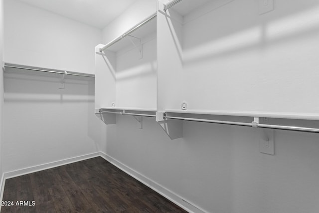 walk in closet with dark hardwood / wood-style flooring