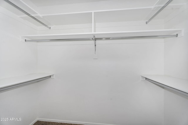 view of walk in closet