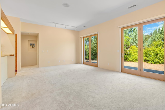 carpeted empty room featuring a healthy amount of sunlight and rail lighting