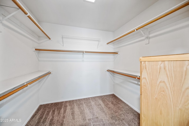 1638 N Avoca, Mesa, AZ 85207 - spacious closet featuring carpet floors
