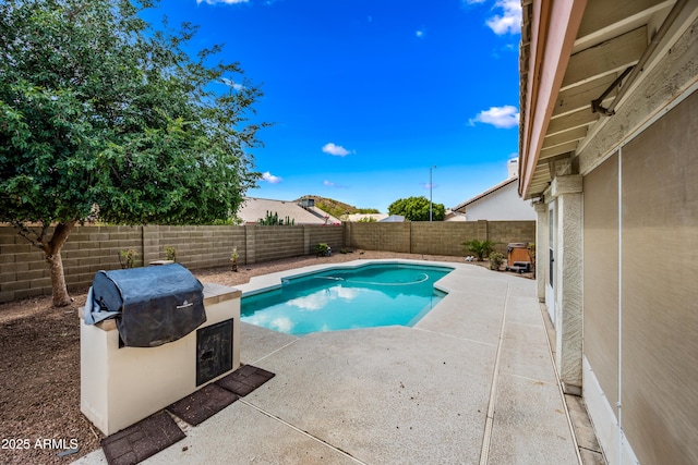 1638 N Avoca, Mesa, AZ 85207 - view of pool featuring a patio, a fenced backyard, and a grill