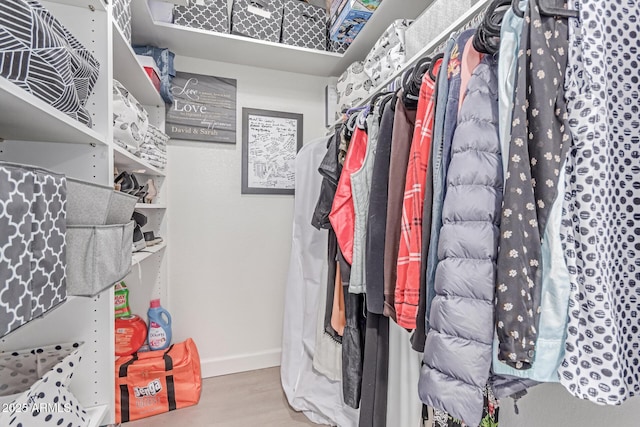 spacious closet featuring wood finished floors