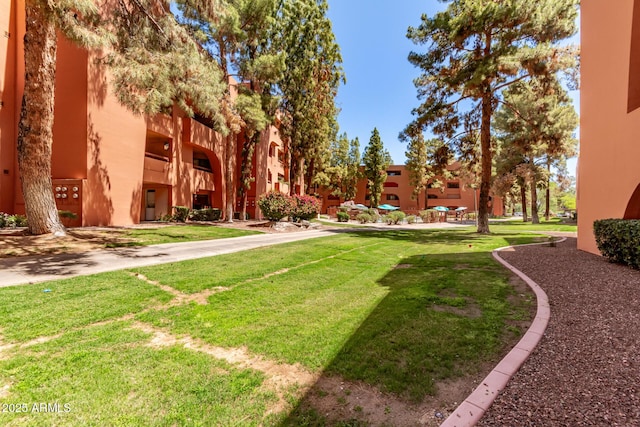 view of property's community with a yard