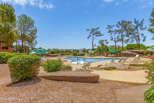 community pool featuring a patio area