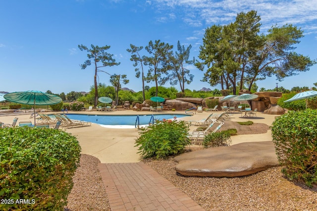 pool featuring a patio