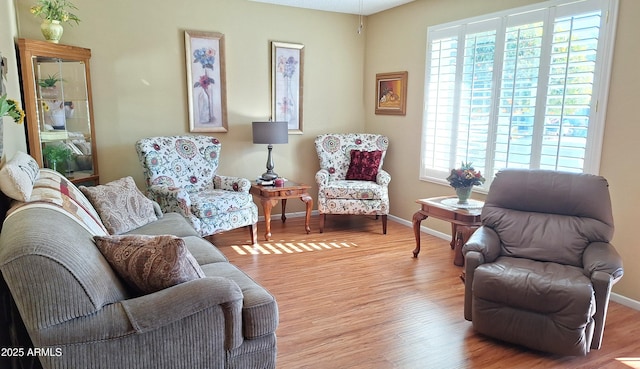 living room featuring light hardwood / wood-style floors