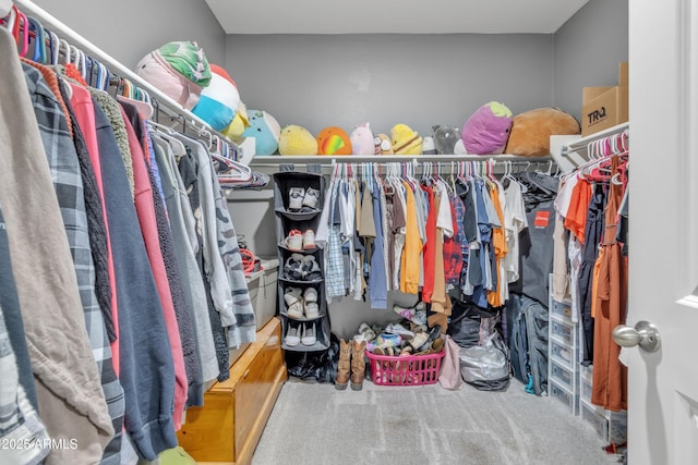 6085 E Athena Rd, Florence, AZ 85132 - walk in closet with carpet floors