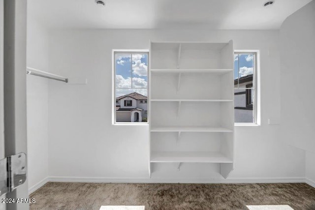 walk in closet with carpet