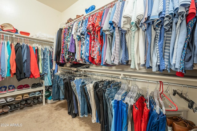 spacious closet featuring carpet