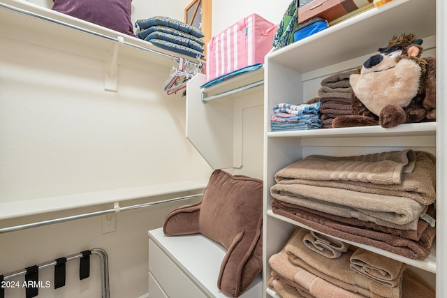 view of spacious closet