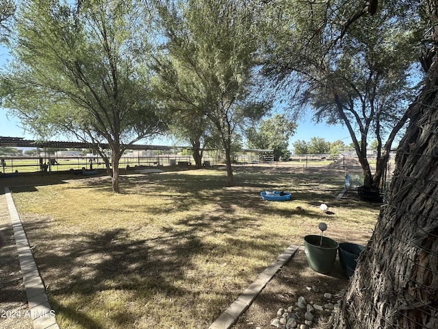 view of yard with a rural view