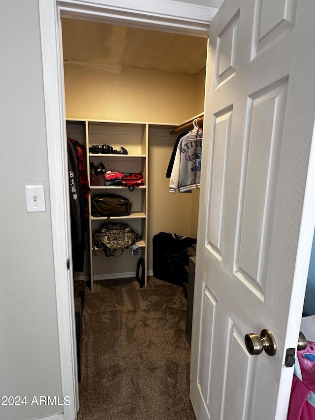 walk in closet with dark carpet