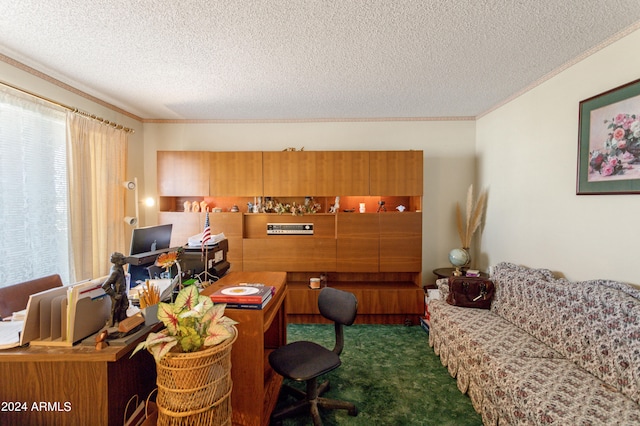 office area featuring crown molding and a textured ceiling