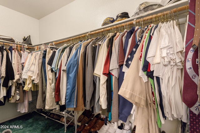 spacious closet featuring carpet