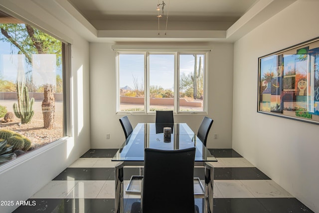 dining space featuring a raised ceiling and a healthy amount of sunlight