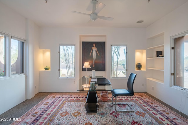 office with plenty of natural light and ceiling fan