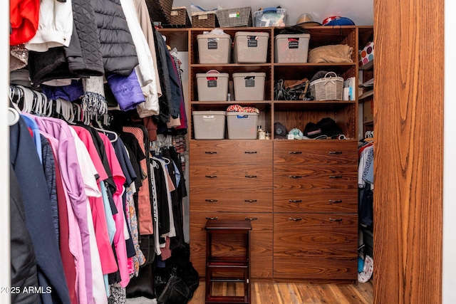 spacious closet featuring wood finished floors