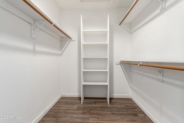 spacious closet featuring wood finished floors