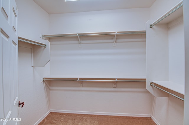 spacious closet featuring light carpet