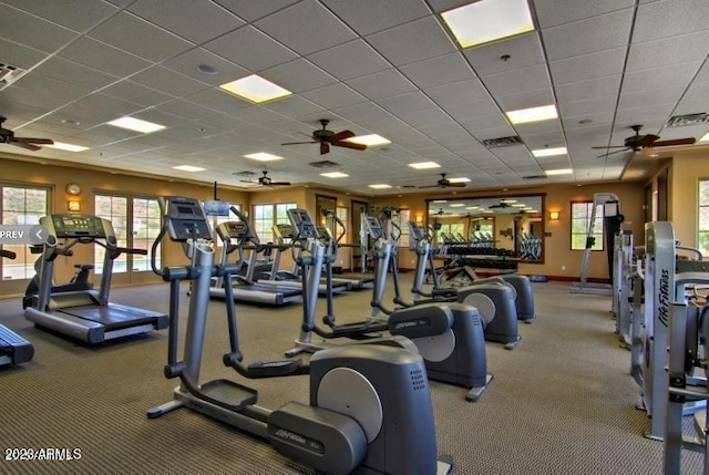 workout area featuring a drop ceiling and carpet flooring