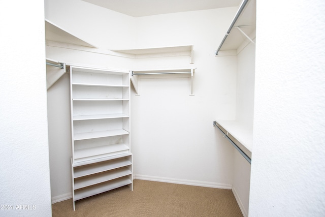 walk in closet with light carpet