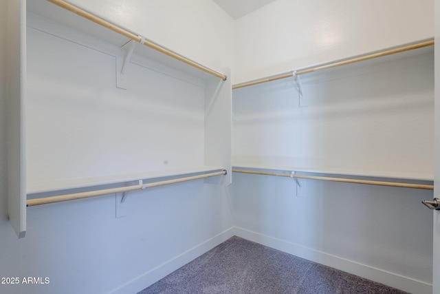 spacious closet with carpet flooring