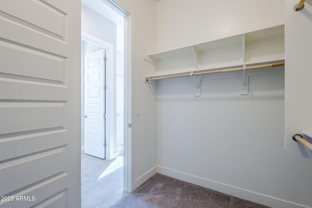 spacious closet featuring light carpet