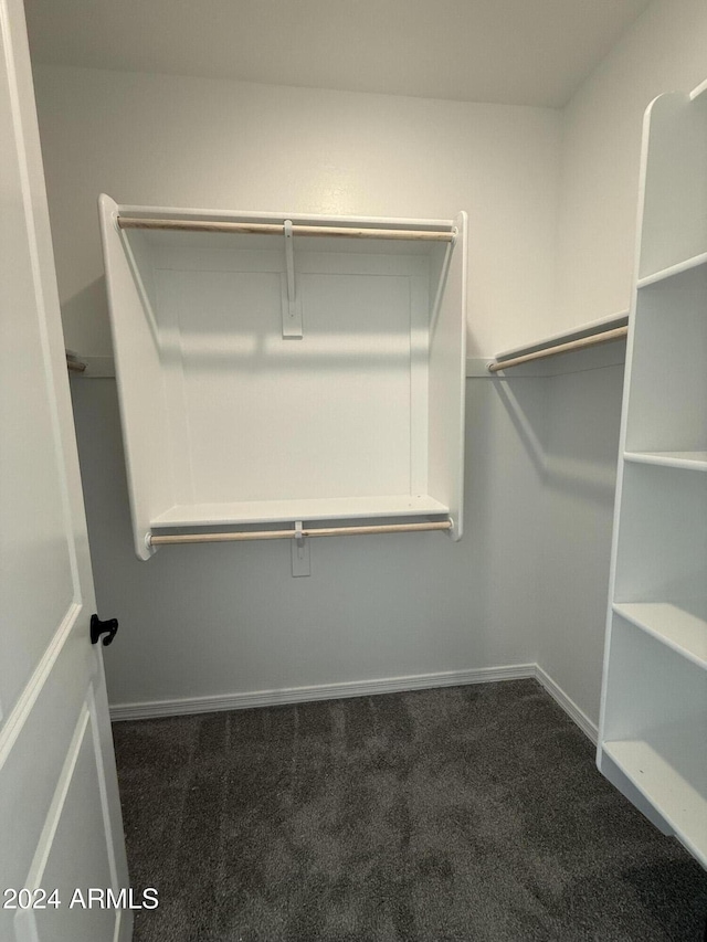 spacious closet featuring dark colored carpet