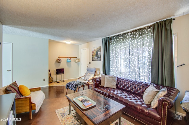 living room featuring a textured ceiling