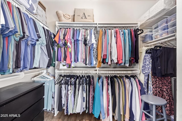 spacious closet featuring dark hardwood / wood-style floors