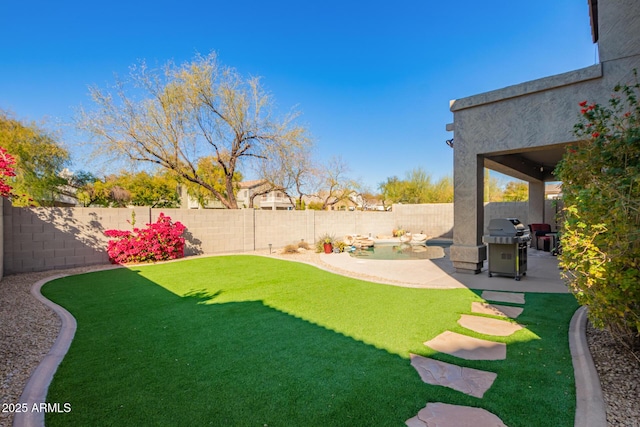 view of yard featuring a patio