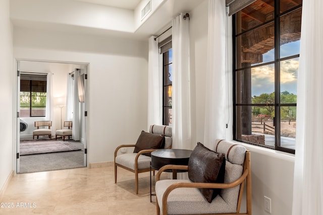 sitting room with a wealth of natural light