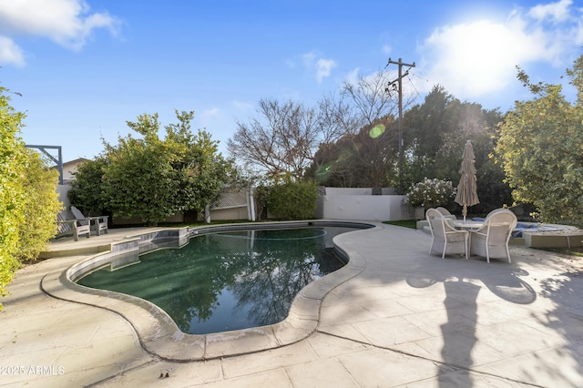 view of swimming pool with a patio